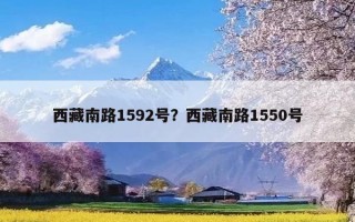 西藏南路1592号？西藏南路1550号