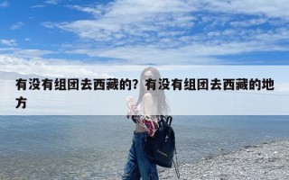 有没有组团去西藏的？有没有组团去西藏的地方