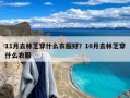 11月去林芝穿什么衣服好？10月去林芝穿什么衣服