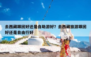 去西藏跟团好还是自助游好？去西藏旅游跟团好还是自由行好