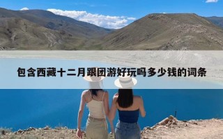 包含西藏十二月跟团游好玩吗多少钱的词条