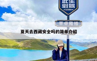 夏天去西藏安全吗的简单介绍
