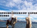 拉萨游玩是网上报团还是去当地？去拉萨旅游团在哪里找