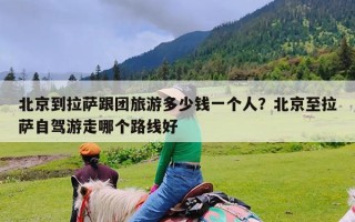 北京到拉萨跟团旅游多少钱一个人？北京至拉萨自驾游走哪个路线好