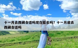 十一月去西藏合适吗现在能去吗？十一月底去西藏合适吗