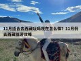 11月适合去西藏玩吗现在怎么样？11月份去西藏旅游攻略