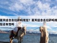 夏天适合去拉萨吗现在？夏天适合去拉萨吗现在还有雪吗