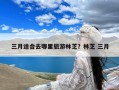 三月适合去哪里旅游林芝？林芝 三月