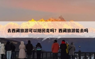 去西藏旅游可以随团走吗？西藏旅游能去吗