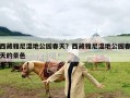 西藏雅尼湿地公园春天？西藏雅尼湿地公园春天的景色
