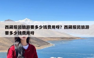 西藏报团旅游要多少钱费用呀？西藏报团旅游要多少钱费用呀