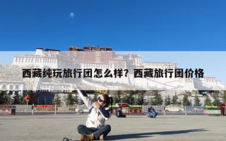 西藏纯玩旅行团怎么样？西藏旅行团价格