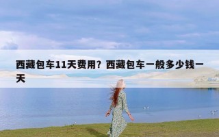 西藏包车11天费用？西藏包车一般多少钱一天