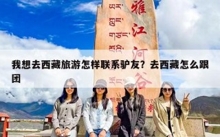 我想去西藏旅游怎样联系驴友？去西藏怎么跟团