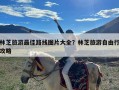 林芝旅游最佳路线图片大全？林芝旅游自由行攻略