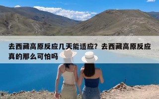 去西藏高原反应几天能适应？去西藏高原反应真的那么可怕吗