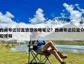 西藏布达拉宫旅游攻略笔记？西藏布达拉宫介绍视频