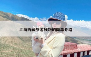 上海西藏旅游线路的简单介绍