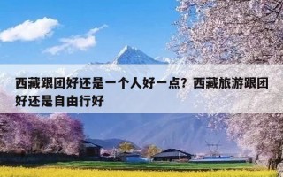 西藏跟团好还是一个人好一点？西藏旅游跟团好还是自由行好