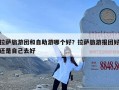 拉萨旅游团和自助游哪个好？拉萨旅游报团好还是自己去好