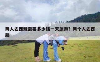 两人去西藏需要多少钱一天旅游？两个人去西藏玩七八天大概得花多少钱？