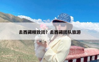 去西藏精致团？去西藏团队旅游