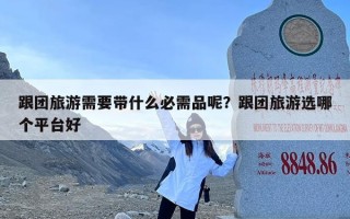 跟团旅游需要带什么必需品呢？跟团旅游选哪个平台好