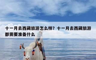 十一月去西藏旅游怎么样？十一月去西藏旅游都需要准备什么