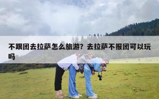 不跟团去拉萨怎么旅游？去拉萨不报团可以玩吗