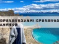 拉萨青年旅行社怎么样啊？拉萨青年旅行社怎么样啊多少钱