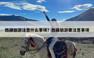 西藏旅游注意什么事项？西藏旅游要注意事项