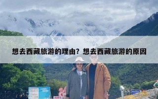 想去西藏旅游的理由？想去西藏旅游的原因