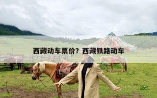 西藏动车票价？西藏铁路动车