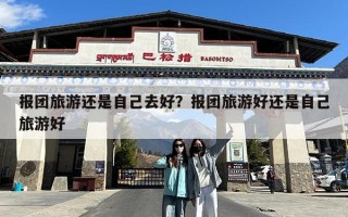 报团旅游还是自己去好？报团旅游好还是自己旅游好