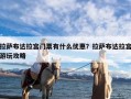 拉萨布达拉宫门票有什么优惠？拉萨布达拉宫游玩攻略