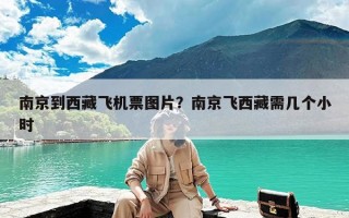 南京到西藏飞机票图片？南京飞西藏需几个小时