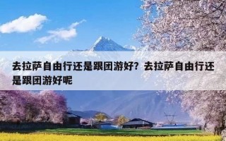去拉萨自由行还是跟团游好？去拉萨自由行还是跟团游好呢