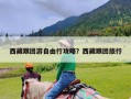 西藏跟团游自由行攻略？西藏跟团旅行