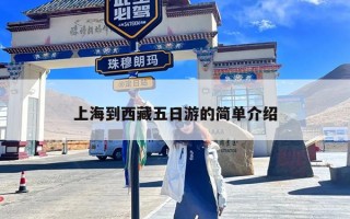 上海到西藏五日游的简单介绍