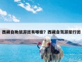 西藏自助旅游团有哪些？西藏自驾游旅行团