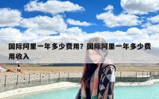 国际阿里一年多少费用？国际阿里一年多少费用收入