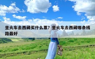 坐火车去西藏买什么票？坐火车去西藏哪条线路最好