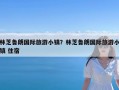 林芝鲁朗国际旅游小镇？林芝鲁朗国际旅游小镇 住宿