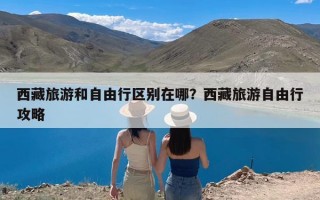 西藏旅游和自由行区别在哪？西藏旅游自由行攻略