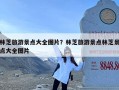 林芝旅游景点大全图片？林芝旅游景点林芝景点大全图片