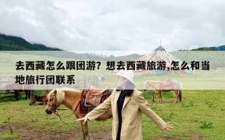 去西藏怎么跟团游？想去西藏旅游,怎么和当地旅行团联系