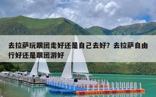 去拉萨玩跟团走好还是自己去好？去拉萨自由行好还是跟团游好