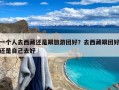 一个人去西藏还是跟旅游团好？去西藏跟团好还是自己去好