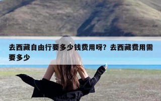 去西藏自由行要多少钱费用呀？去西藏费用需要多少