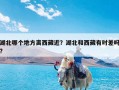 湖北哪个地方离西藏近？湖北和西藏有时差吗?